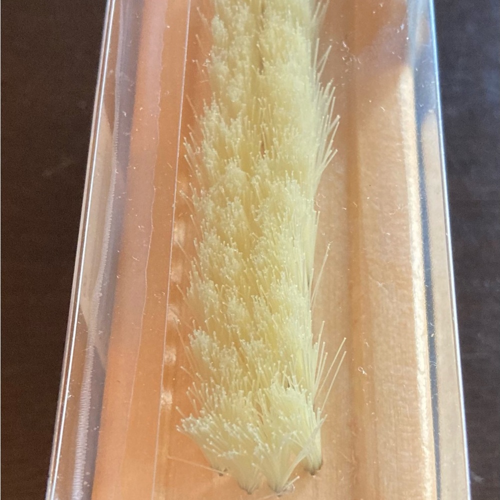 SASSY+CHIC wooden nail brush new in package - Picture 4 of 4